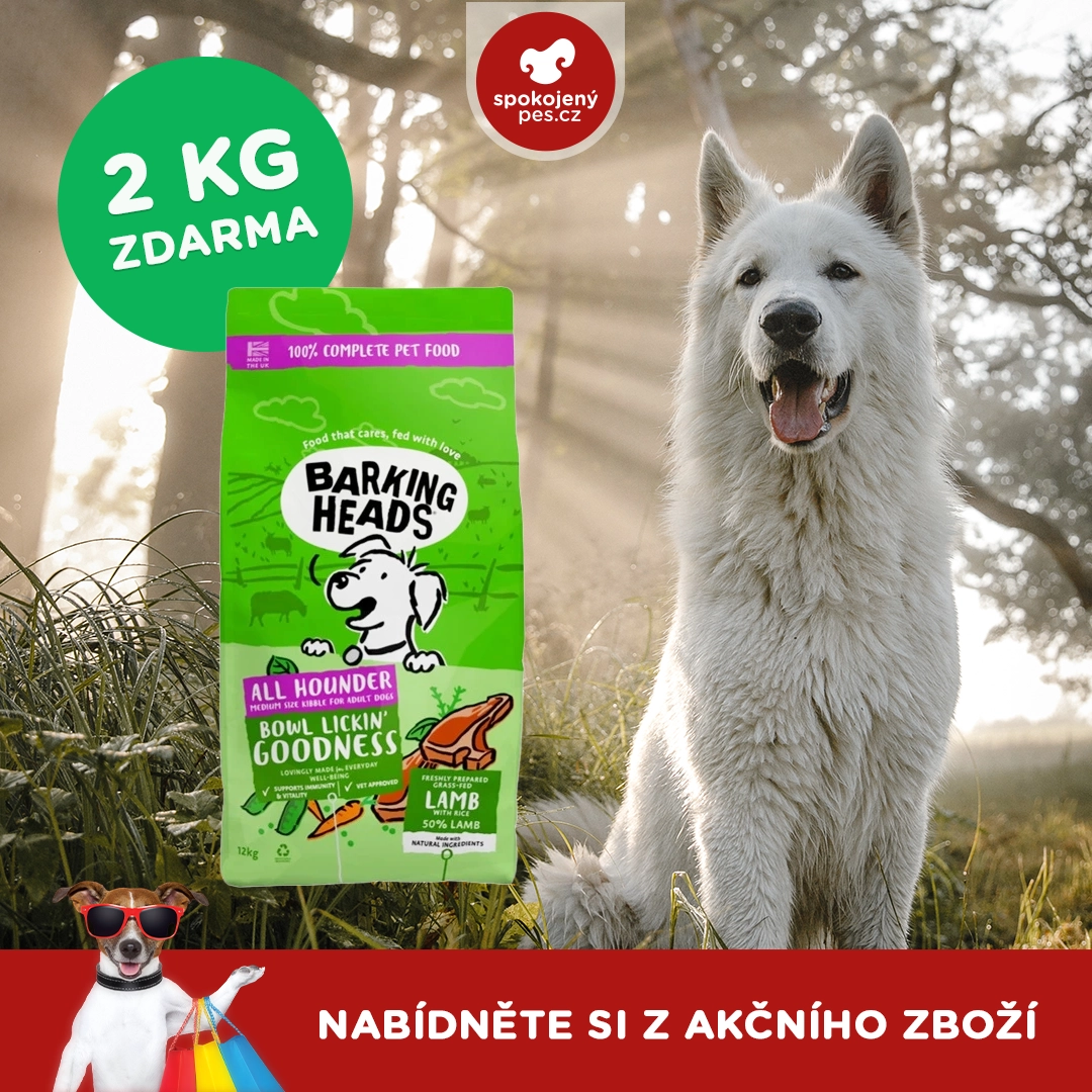 dog barking.webp